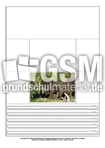 Popup-Buch-Afrikanischer-Elefant-1-10.pdf